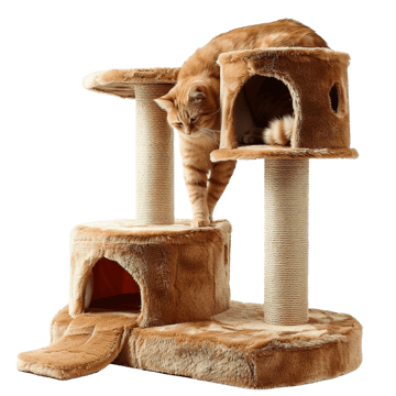 Kedi Tırmalama Tahtası